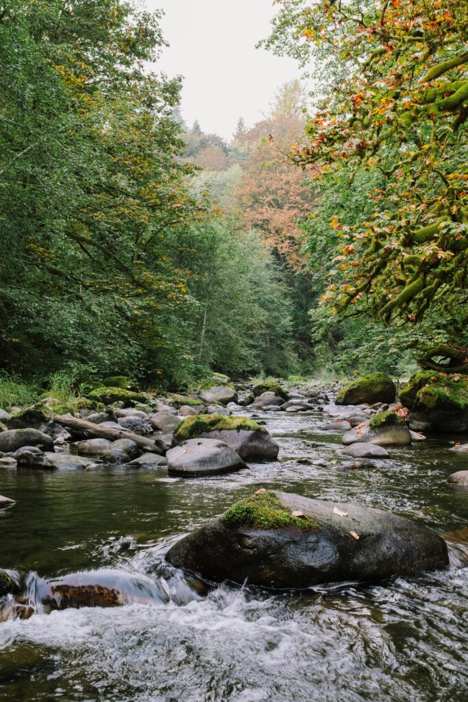 Chlorhexidine Glconate and its Enviromental Impact